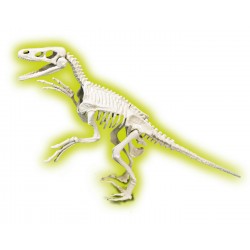 50639 CLEMENTONI SKAMIENIAŁOŚCI WELOCIRAPTOR FLUORESCENCYJNY
