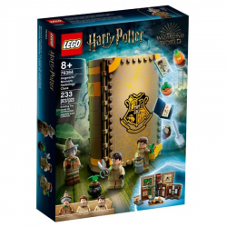 76384 LEGO HARRY POTTER CHWILE Z HOGWARTU ZAJĘCIA Z ZIELARSTWA