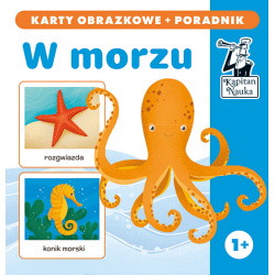 404069 EDGARD W MORZU KARTY PORADNIK KN