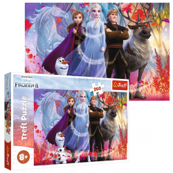 13250 PUZZLE 260 FROZEN 2