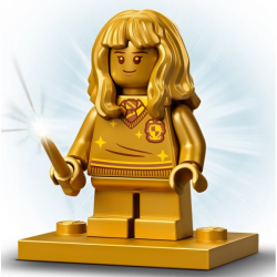 76387 LEGO HARRY POTTER SPOTKANIE Z PUSZKIEM