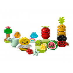 10984 LEGO DUPLO OGRÓD UPRAWOWY