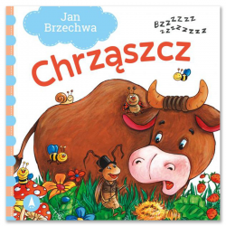 074598 KSIĄŻECZKA CHRZĄSZCZ JAN BRZECHWA