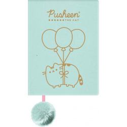 658013 NOTES PAMIĘTNIK PUSHEEN