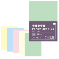 236487 PAPIER KOLOROWY PASTELOWY DO KSERO XERO A4 100 SZT.