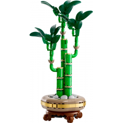 10344 LEGO ICONS BOTANICALS DRACENA SANDERA