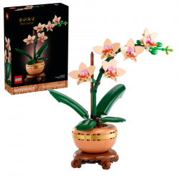 10343 LEGO ICONS BOTANICALS MAŁA ORCHIDEA