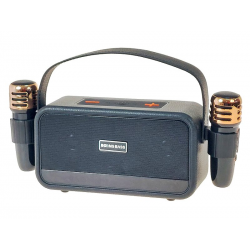 610002 KARAOKE PODWÓJNY ZESTAW 2 X MIKROFON + GŁOŚNIK USB 3 KOLORY
