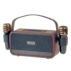 610002 KARAOKE PODWÓJNY ZESTAW 2 X MIKROFON + GŁOŚNIK USB 3 KOLORY