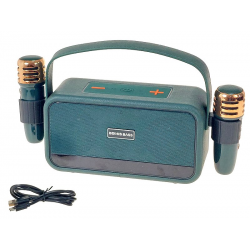 610002 KARAOKE PODWÓJNY ZESTAW 2 X MIKROFON + GŁOŚNIK USB 3 KOLORY