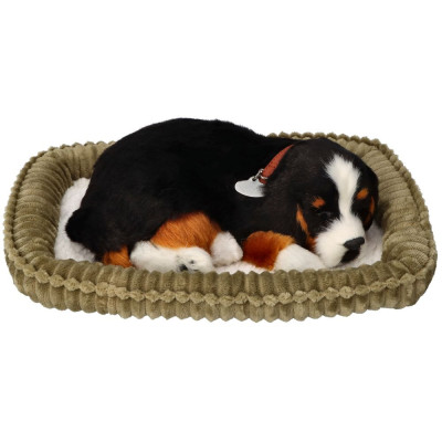 996644 MASKOTKA ŚPIĄCY PIESEK SZCZENIACZEK BERNEŃSKI PERFECT PETZZZ