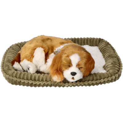 996309 MASKOTKA ŚPIĄCY PIESEK SZCZENIACZEK CAVALIER PERFECT PETZZZ