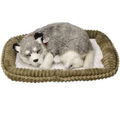 996132 MASKOTKA ODDYCHAJĄCY PIESEK SZCZENIACZEK ALASKAN HUSKY PERFECT PETZZZ