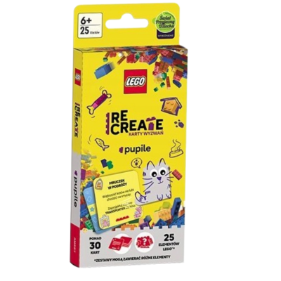 346669 LEGO RECREATE KARTY WYZWAŃ PUPILE