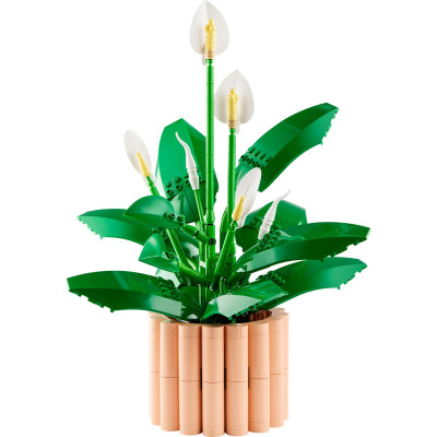 11504 LEGO BOTANICALS SKRZYDŁOKWIAT 2026