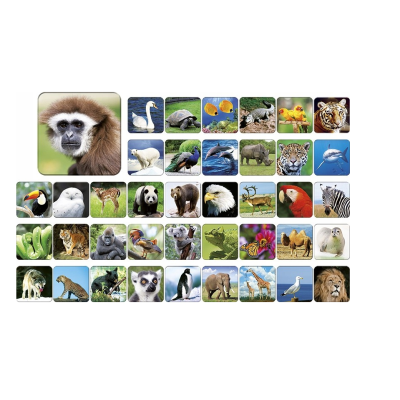 007264 ADAMIGO GRA MEMO MEMORY ZWIERZĘTA ZOO