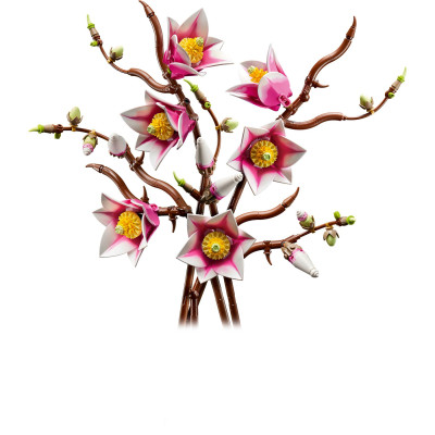 11510 LEGO BOTANICALS GAŁĄZKI MAGNOLII 2026