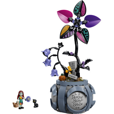 43288 LEGO DISNEY DONICZKA SALLY 2026