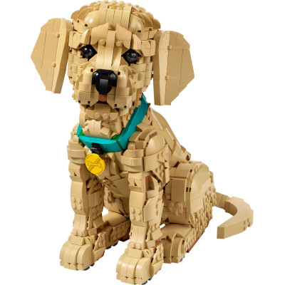 11384 LEGO ICONS SZCZENIAK GOLDEN RETRIEVER
