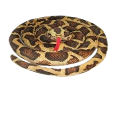 171566 MASKOTKA PLUSZAK PLUSZOWY WĄŻ RÓŻNE KOLORY 145 CM