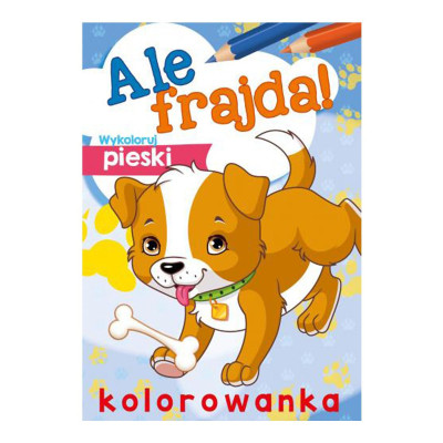 156665 KOLOROWANKA MALOWANKA ALE FRAJDA PIESKI