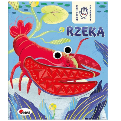 811279 KSIĄŻECZKA RZEKA - DOTYKAM, POZNAJE
