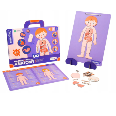 004291 UKŁADANKA MAGNETYCZNA PODKŁADKA PUZZLE ANATOMIA CZŁOWIEKA 44EL